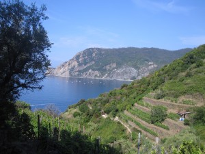 A view from my Cinque Terre hike