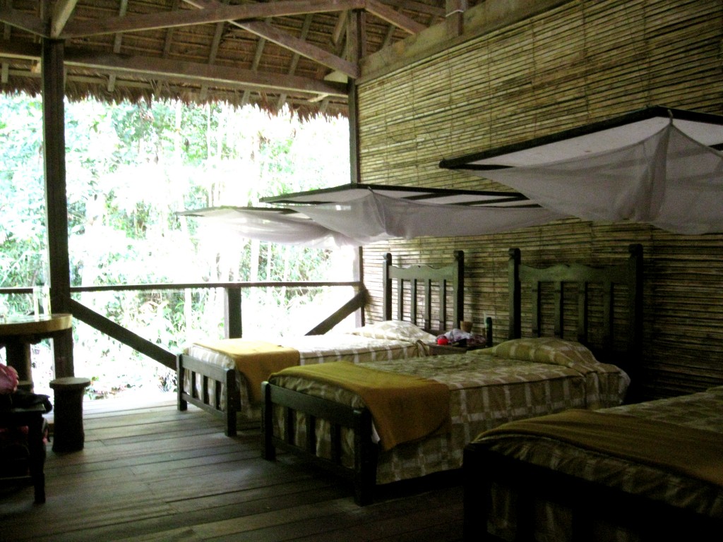 Our rooms at the Refugio Amazonas lodges. The fourth wall to our room is a giant window, which made me scared animals would come in at night, but we never had any cuddling with us.