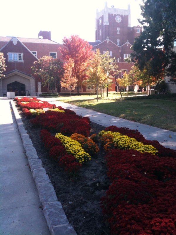 Fall on our campus